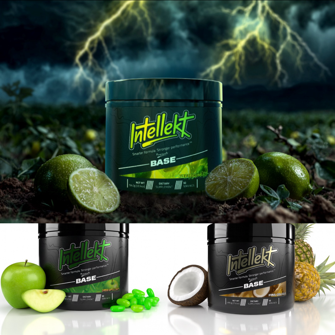 The Foundation of Performance: INTELLEKT BASE