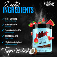 PUMPD – Caffeine-Free Workout Formula | All Flavors