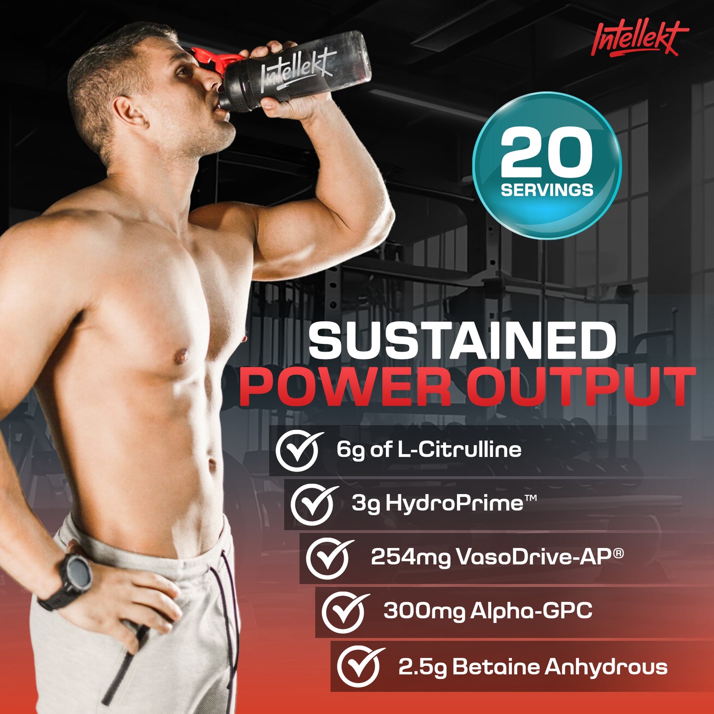 INTELLEKT PUMPD Stim-Free Pre-Workout